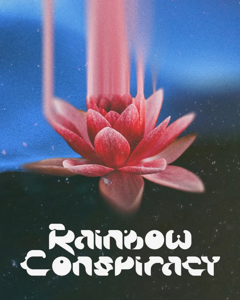 Un nenúfar rosa bajo un haz de luz, con el logotipo de Rainbow Conspiracy en blanco debajo